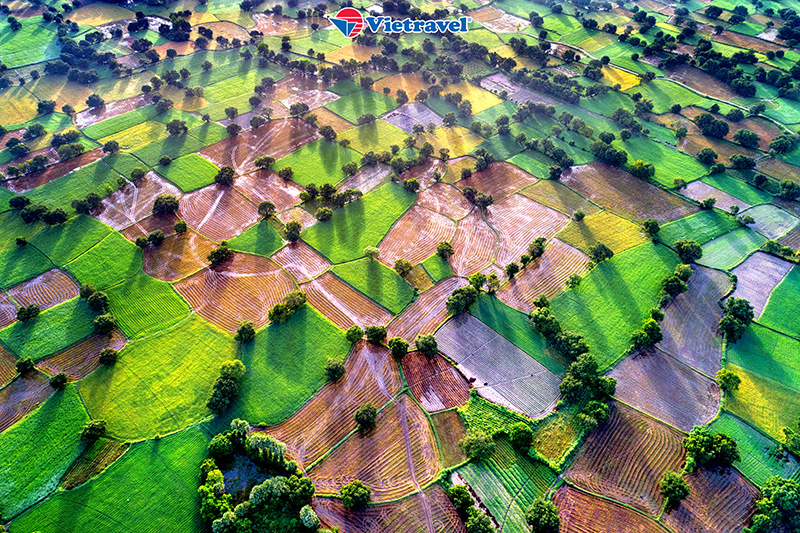 Miền Tây - Châu Đốc - Rừng Tràm Trà Sư - Hà Tiên - Rạch Giá - Cần Thơ (Khách sạn 2*& 3*)