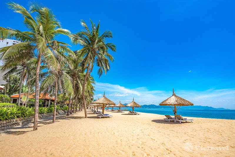 Nha Trang - Đà Lạt (Khách Sạn 4*&3*. Tour Tiết Kiệm) - Festival Hoa Đà Lạt 2022