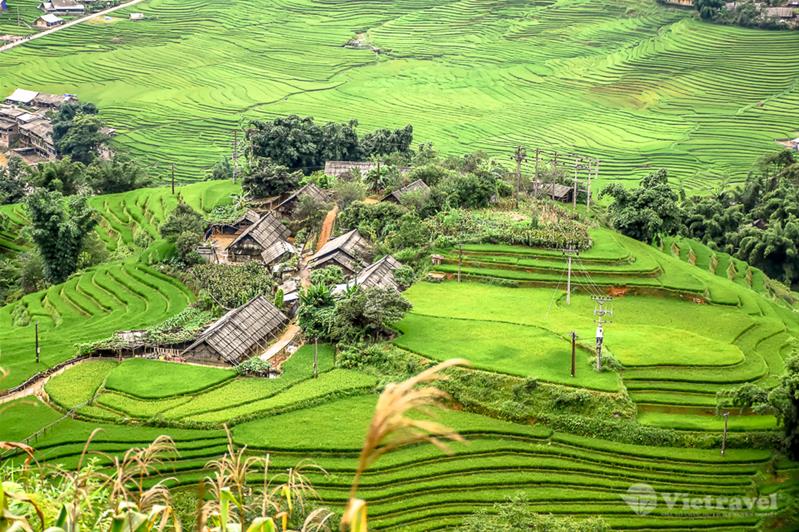 Sapa - Bản Cát Cát - Fansipan - Ninh Bình - Tràng An - Bái Đính - Tuyệt Tịnh Cốc - Hạ Long - Đảo Titốp - Yên Tử (Bay Vietnam Airlines)