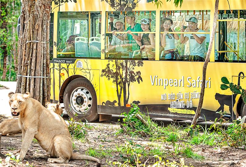 Phú Quốc - Thiên đường giải trí Vinwonder - Safari World - Hòn Thơm Nature Park - Cáp Treo Vượt Biển - Công Viên Nước Aquatopia