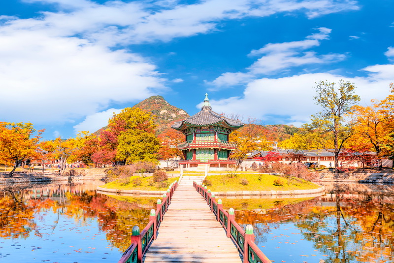 Hàn Quốc: Seoul - Jeju - Lotte Word - Nami (Khách sạn 4 sao) | Đón Giáng Sinh | Sắc Thu - Đông 2022