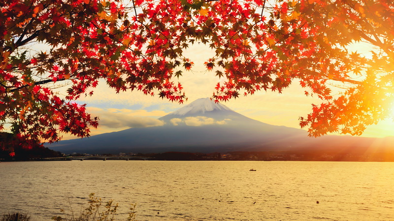 Nhật Bản: Tokyo- Núi Phú Sỹ- Free shopping- Trượt tuyết mùa đông tour