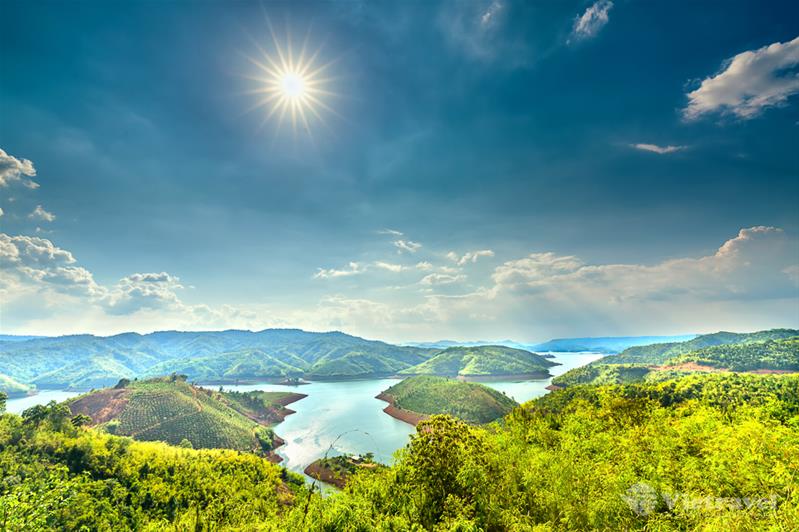 Vinh-Đà Lạt mùa hoa dã quỳ