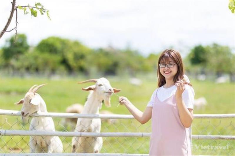 Củ Chi - Nông Trang Xanh - Địa Đạo vùng Đất Thép 